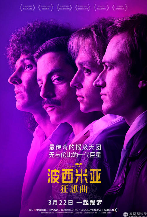 买个假的拳师/证书